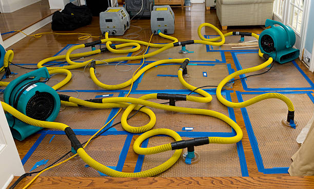 Professional Basement Flood Cleanup technician working in Chester, SC